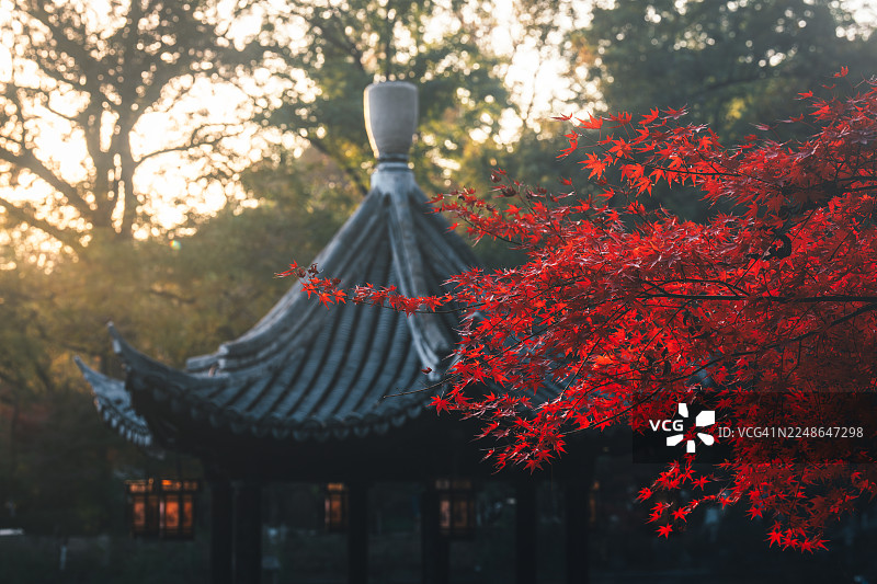 秋季的栖霞寺（又称栖霞古寺或舍利塔寺），位于中国江苏南京，红枫叶环绕图片素材