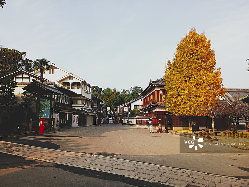 晚秋的严岛图片素材