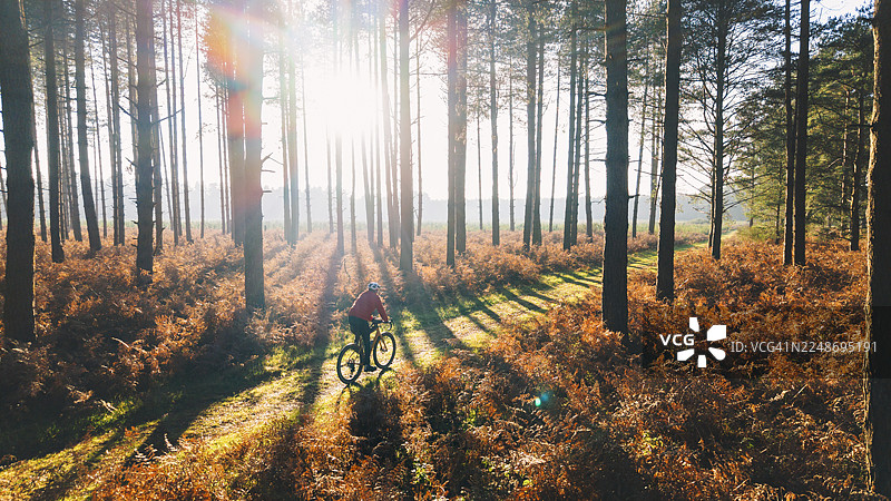 无人机/高视角拍摄：一位成熟的男士在阳光明媚的秋日早晨，骑着他的砾石自行车探索森林。图片素材