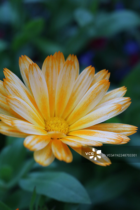 吕根峡湾图片素材