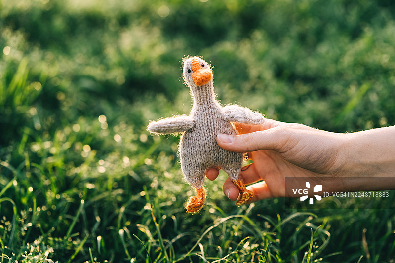 草地背景上手持的可爱编织鹅玩偶图片素材