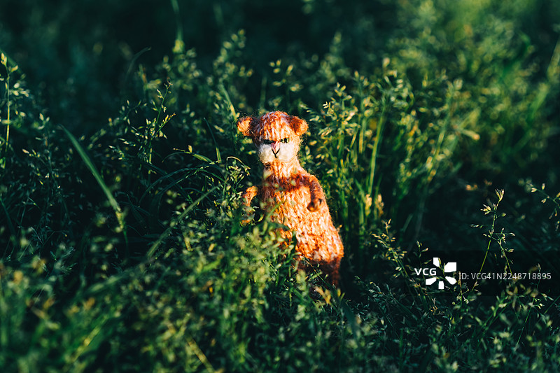 草地上的可爱针织猫玩具。图片素材