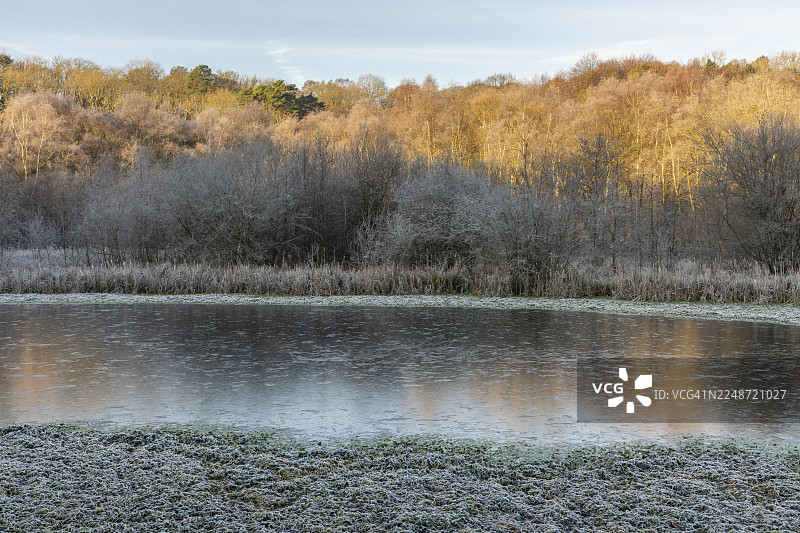 寒冷冬日清晨的小湖图片素材