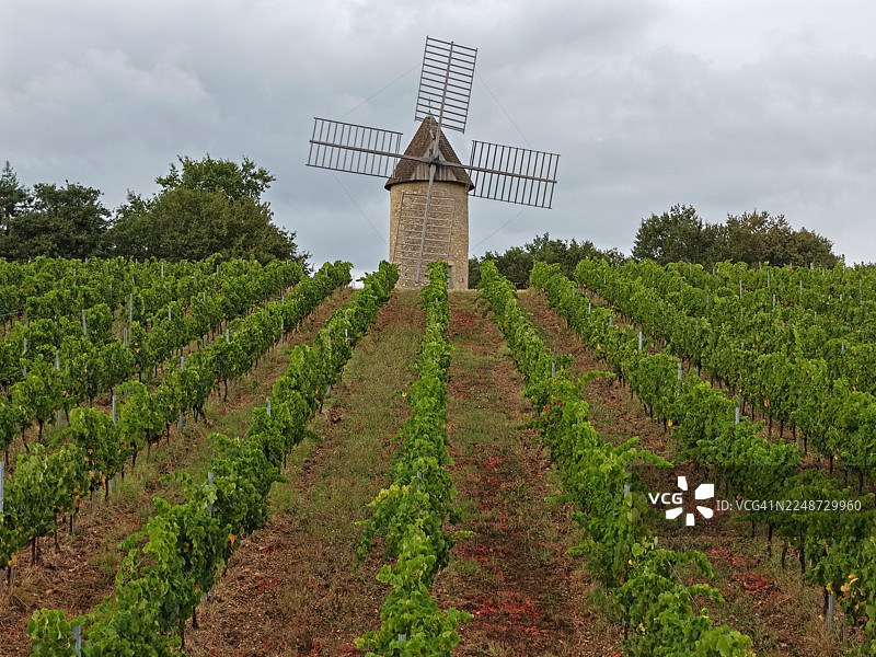 法国吉伦特省韦尔德莱村的波尔多葡萄园中的16世纪库索尔风车 - 航拍图片素材