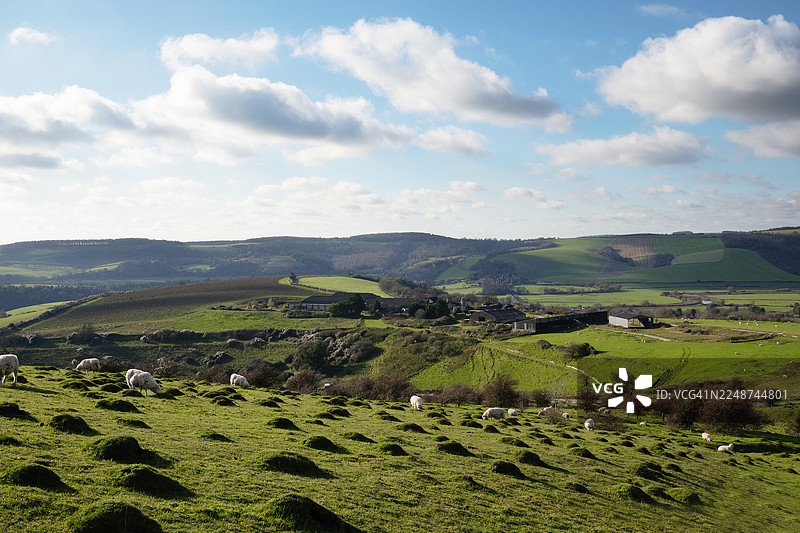 晴朗的秋日，绵羊在山坡上悠闲地吃草，俯瞰着英国的乡村景色。图片素材