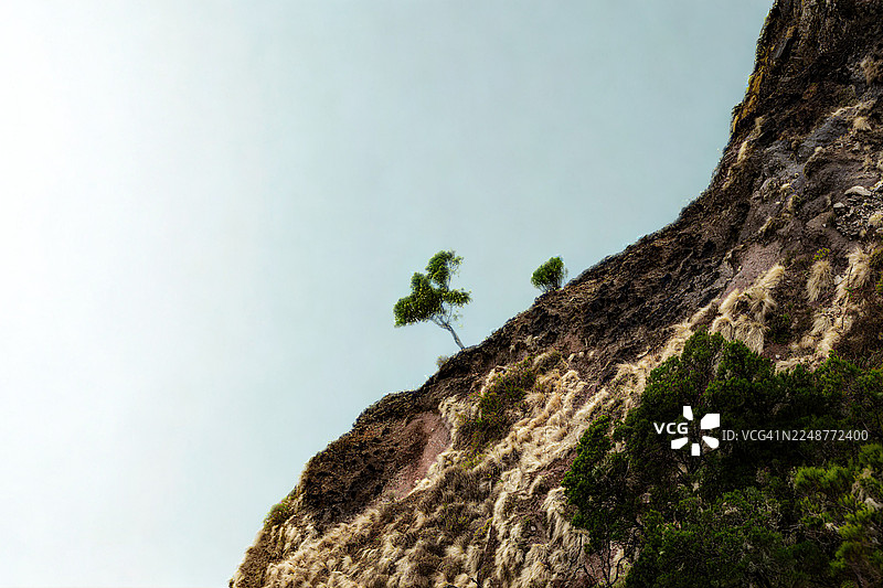仰视视角拍摄的崎岖岩石构造，稀疏的植被点缀其间，背景是湛蓝的天空，象征着坚韧不拔的精神图片素材