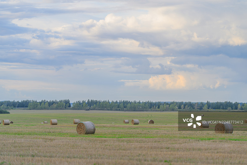 多云天空下，风景如画的农田里堆放着干草垛，展现了乡村风光和农耕景象图片素材