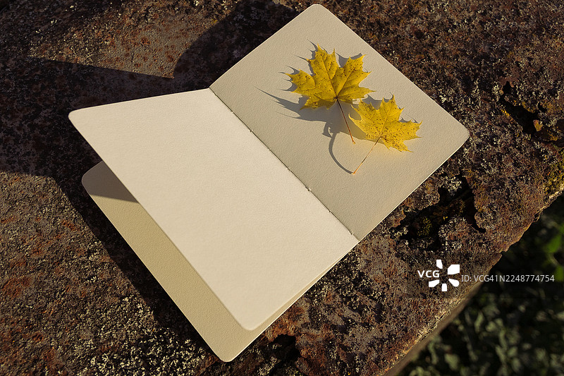 两片亮黄色的枫叶静静地躺在一本空白笔记本的翻开的书页上，笔记本置于户外有纹理的深色表面上，乌克兰图片素材