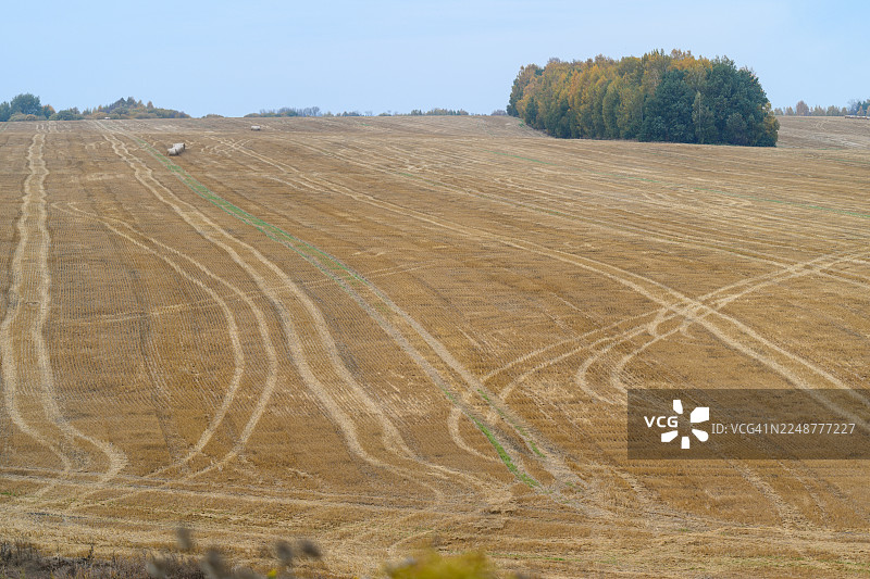 广阔的农田，收获后的残余物在晴朗的天空下，展示着耕作的纹理图片素材