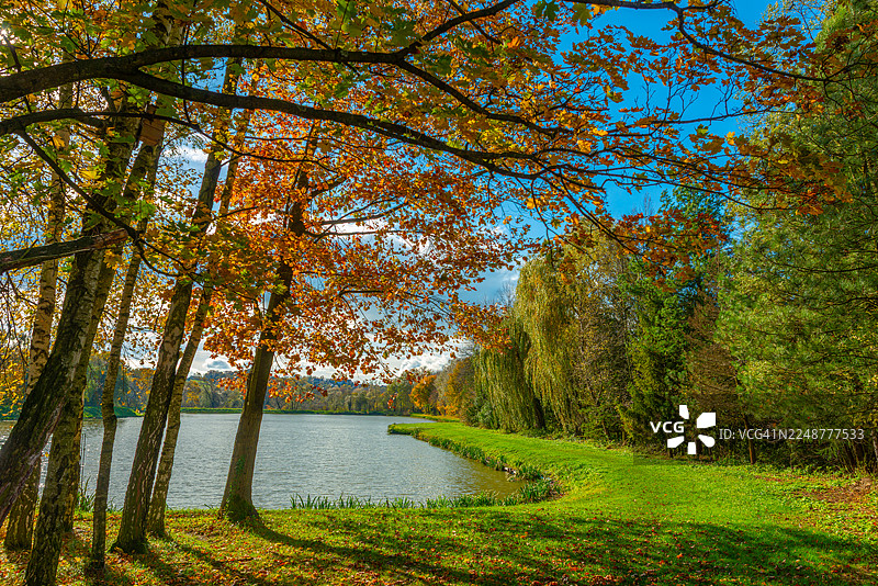 秋季色彩斑斓的树木衬托着宁静的湖泊，在明亮的蓝天下展现着秋天的美丽，波兰希什因图片素材