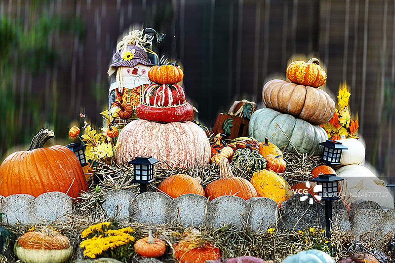 市场摊位上色彩鲜艳的南瓜、葫芦和稻草人展示，庆祝丰收季节图片素材