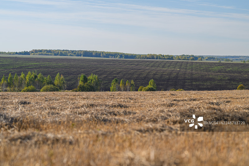 广阔的农业景观，前景是收割后的田野，新翻的泥土，远处的树木在晴朗的天空下。图片素材