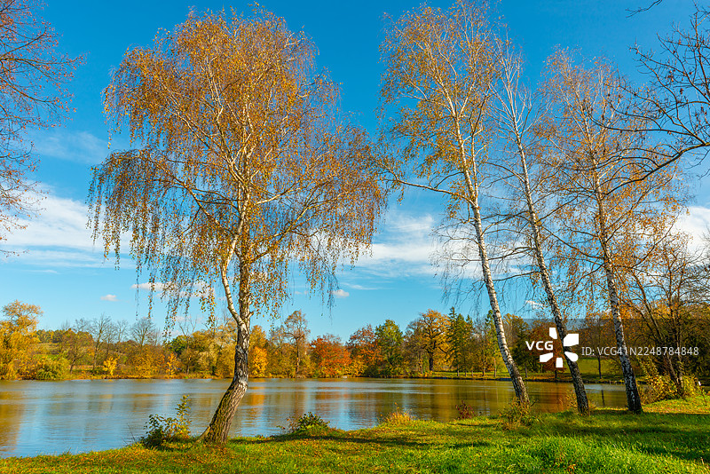 金色的秋季树木在明亮的蓝天下宁静地倒映在湖水中，波兰，切申图片素材