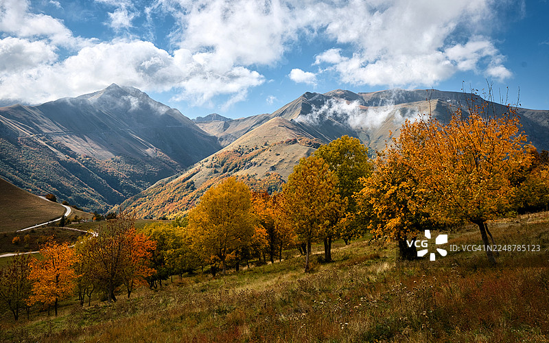 博洛尼奥拉，意大利，雄伟的秋季山地景观，拥有生机勃勃的树木和多云的天空图片素材