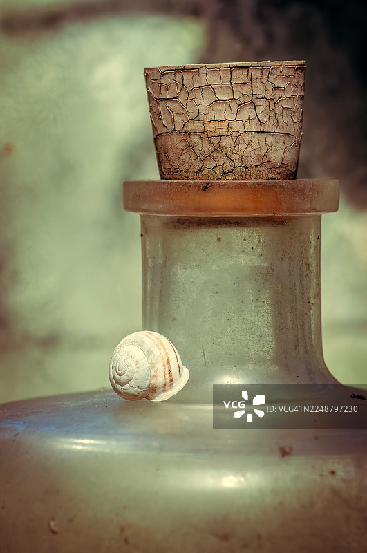 特写：一个蜗牛壳放在一个带有破裂软木塞的复古玻璃瓶上图片素材