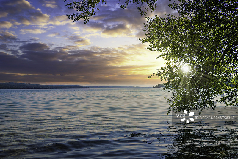 美国托奇湖宁静的日落，阳光穿透绿色树枝图片素材