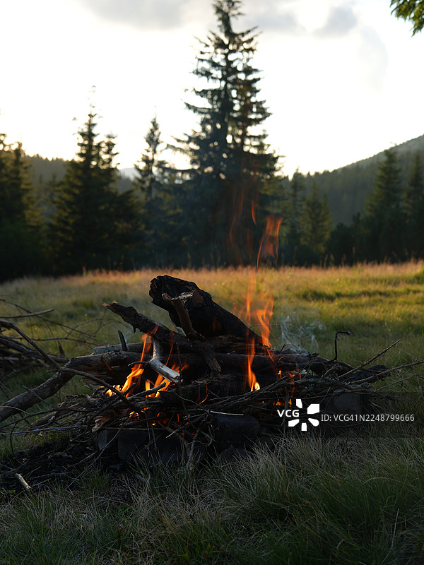 黄昏时分，森林空地上篝火熊熊燃烧，周围是高大的松树和干草。图片素材