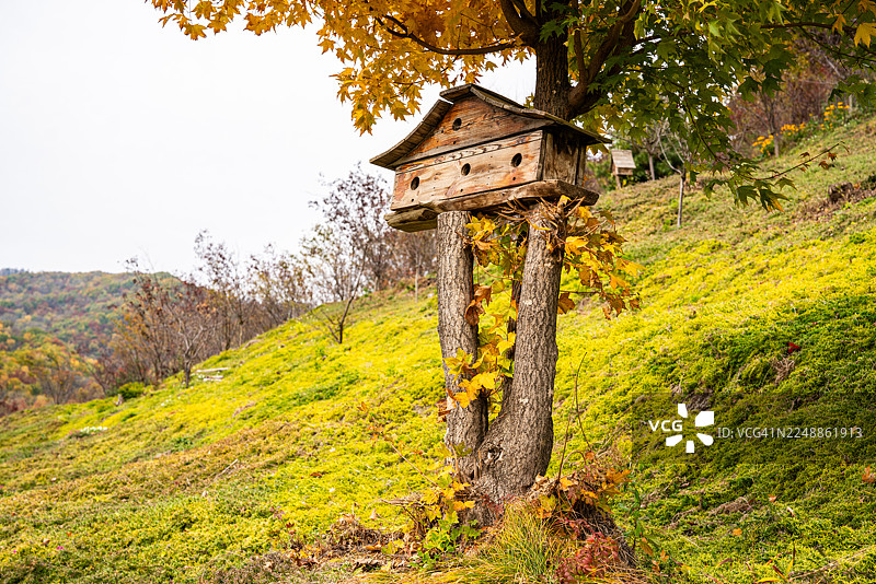 动物之家图片素材