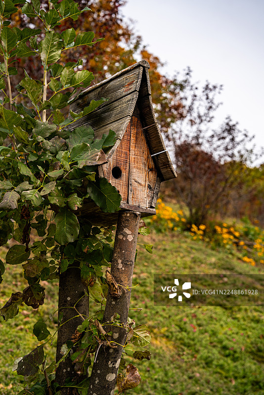 动物之家图片素材