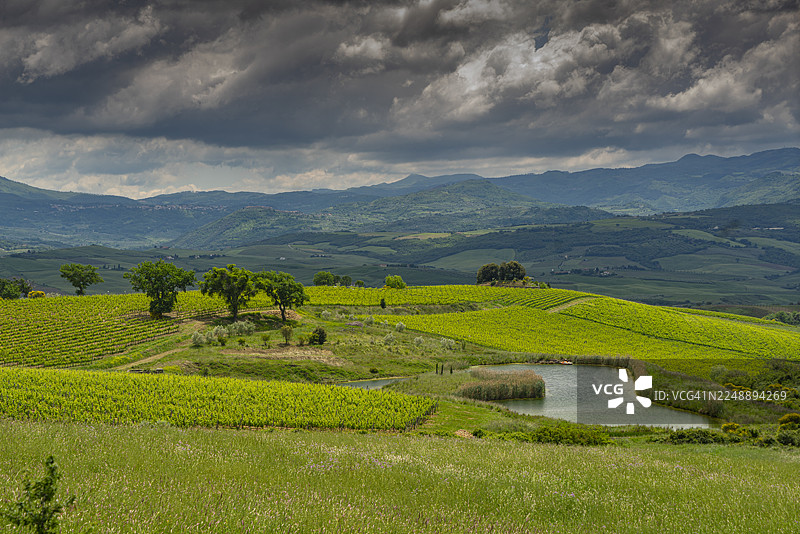 托斯卡纳，卡斯泰尔努奥沃·德尔·阿巴特附近的风景图片素材