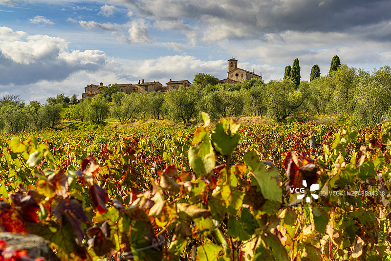 托斯卡纳，蓬蒂尼亚诺修道院景观图片素材