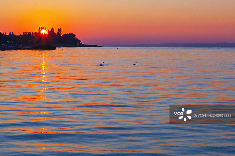 天鹅在巴拉顿湖上游弋，夕阳西下，勾勒出一幅色彩鲜艳、宁静而美丽的风景画图片素材