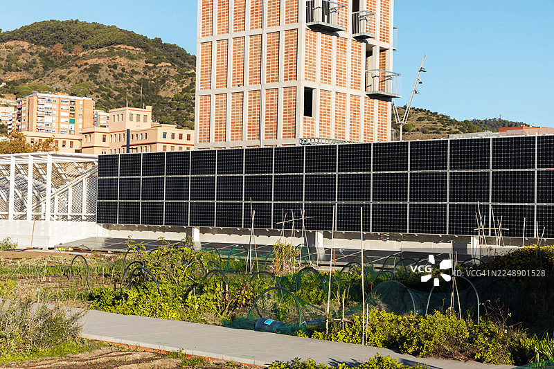 城市居民区里的城市菜园与太阳能电池板图片素材