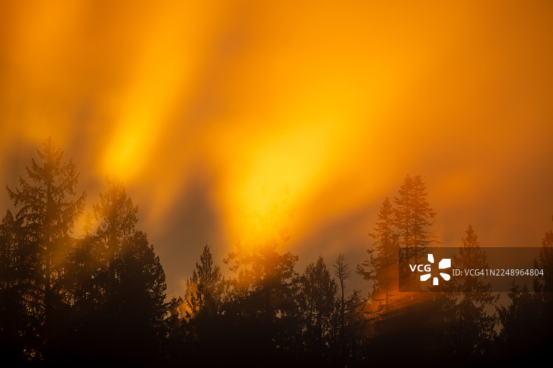 加拿大不列颠哥伦比亚省温哥华岛的奎里克海滩哈密尔顿沼泽地，一个非常生动而不同寻常的日出景象图片素材