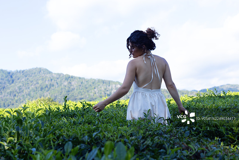 身着白裙的美丽女子漫步于绿色的灌木丛中，手指轻触茶园里新鲜翠绿的叶片。健康生活方式，生态。图片素材