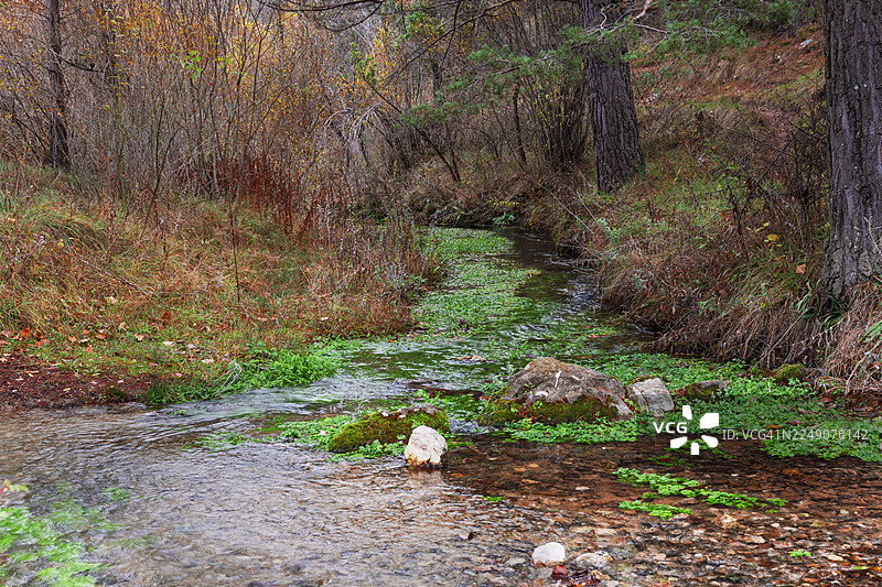 一条穿过林地的潺潺小溪。图片素材