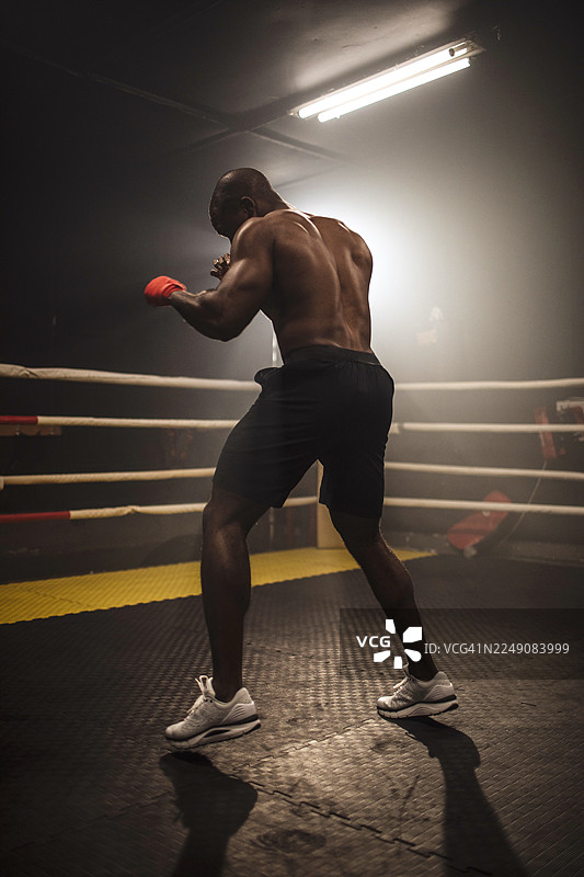 拳击手在戏剧性的灯光下在拳击台刻苦训练图片素材