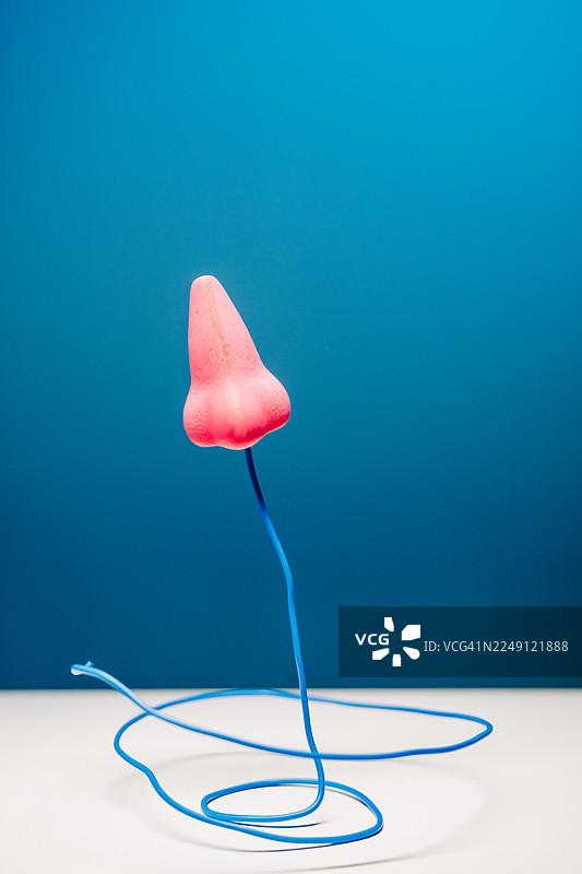 深蓝色背景下，一个粉红色的鼻子模型被放置在一个细长的蓝色螺旋线上。图片素材