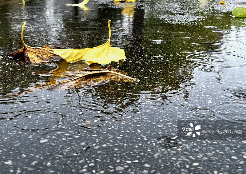 雨水积在湿沥青路面上的特写，没有人物图片素材