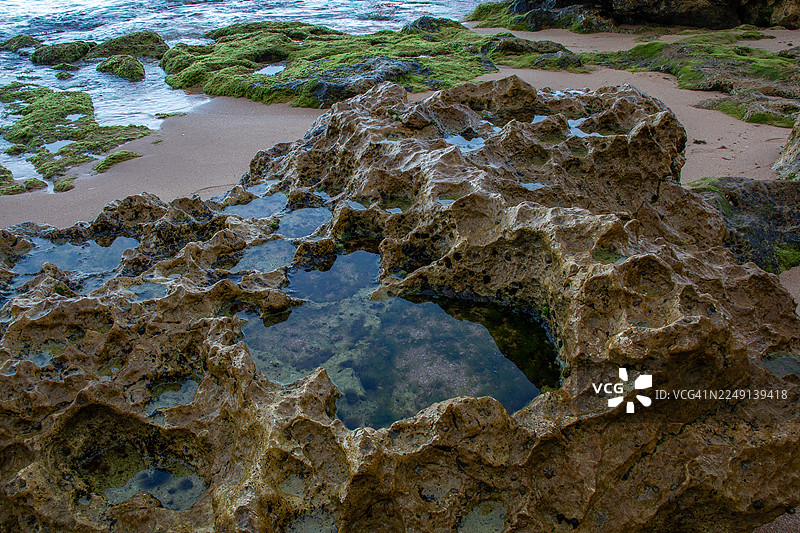 阿尔布费拉卡斯泰洛海滩岩石海岸线的特写，有藻类和潮汐池图片素材