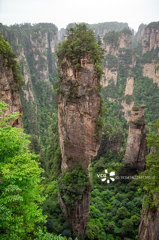 中国湖南张家界国家森林公园的岩石自然石柱图片素材