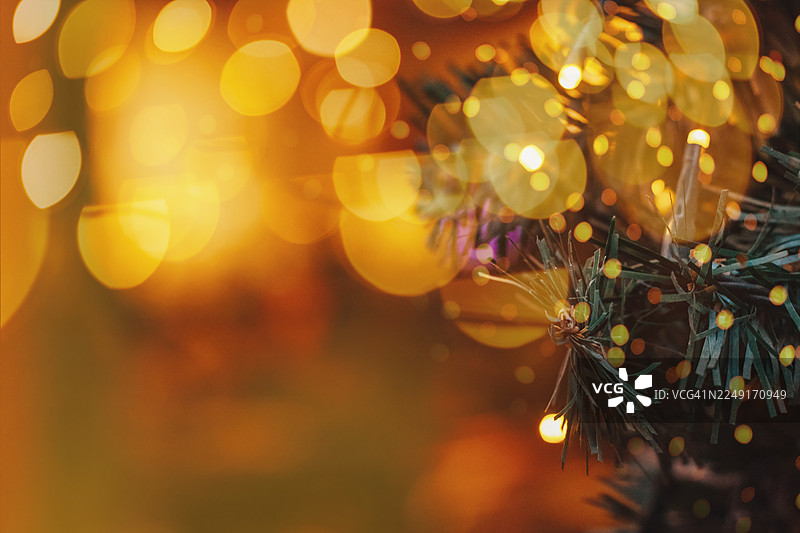 装饰着金色小灯的圣诞树枝图片素材