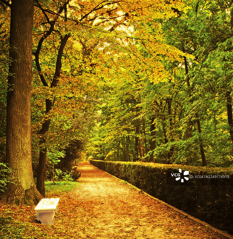 秋季，巴黎索镇公园，林荫大道上一张孤零零的大理石长椅。图片素材