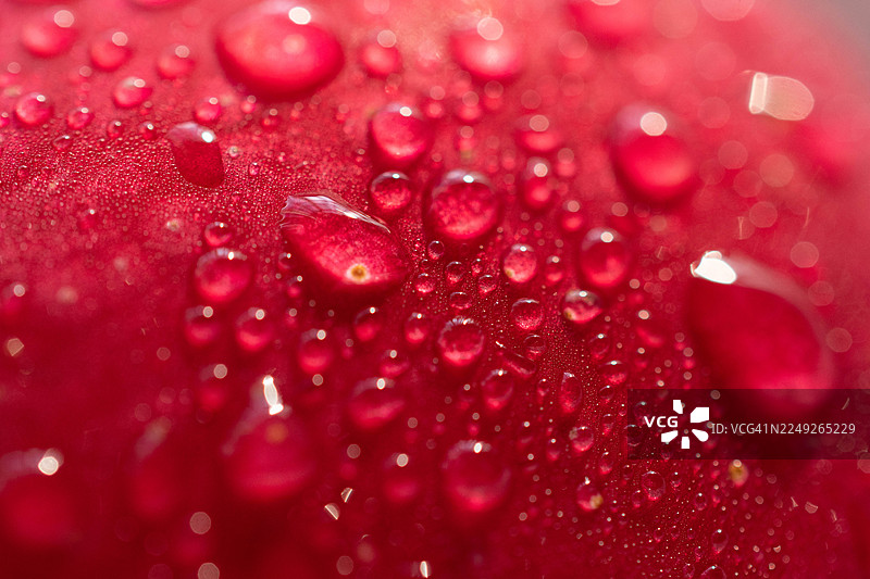 抽象的苹果特写微距，展示了其有机纹理和自然图案图片素材