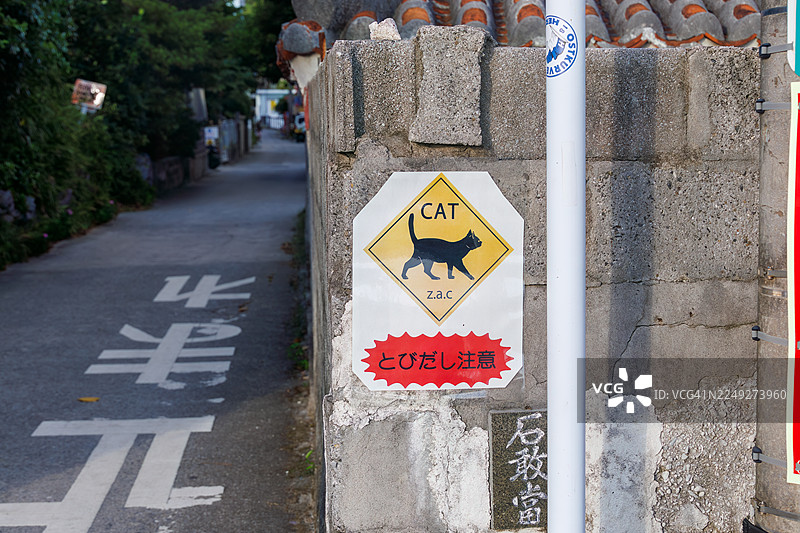 当心猫冲出告示牌。美丽猫咪，小岛守护者，出没于巷道。冲绳座间味港。如热带天堂般的离岛。座间味岛，庆良间群岛，岛尻郡-2025图片素材