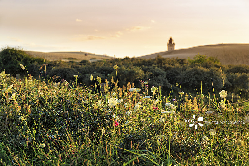 鲁尔布耶格·克努德灯塔在地平线上,徒步者在沙丘上行走,夏日傍晚的氛围,洛肯,洛肯,北日德兰,丹麦图片素材
