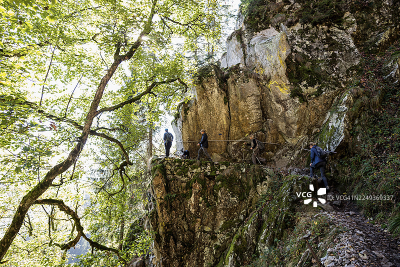 阿尔卑斯山小径与岩石，位于霍内克峰、施鲁赫特山口、孚日、上莱茵省、法国孚日地区图片素材