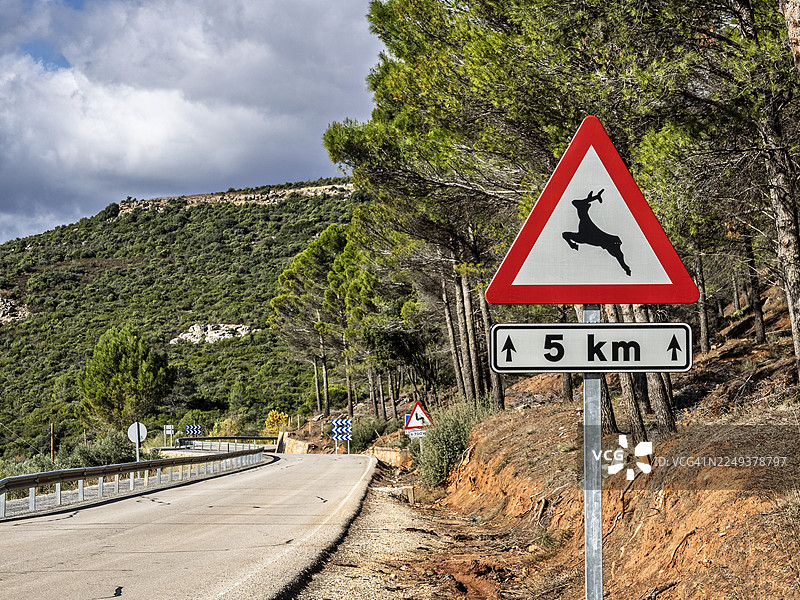交通标志，西班牙道路上有野生动物危险。图片素材