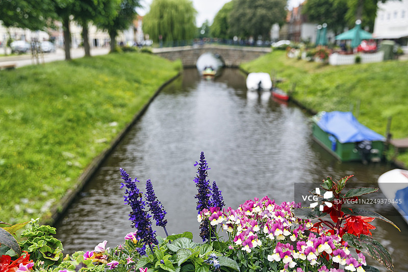 俯瞰弗里德里希施塔特老城米特尔堡格拉本的花卉装饰，背景模糊图片素材