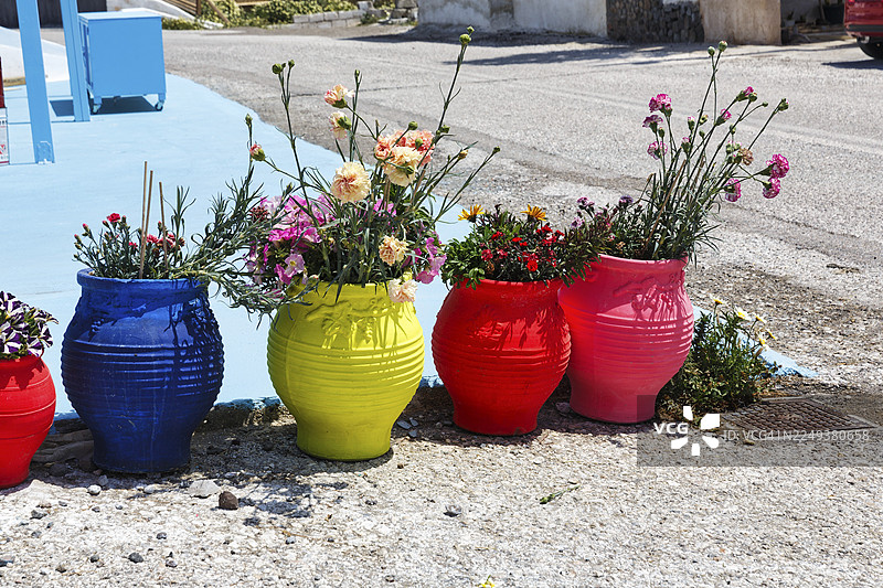 路边的鲜艳花盆里种着康乃馨，位于希腊基克拉泽斯群岛圣托里尼的阿克罗蒂里图片素材