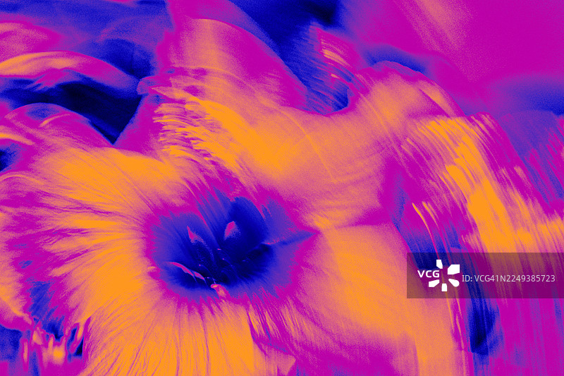 充满活力的抽象花朵特写，带有迷幻的紫色和橙色调以及运动模糊图片素材