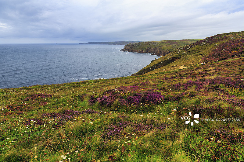 海岸线，大西洋沿岸的石楠花，远足小径，西南海岸小径，云层，海角兰兹角，兰兹角，彭赞斯，彭威思半岛，康沃尔，英格兰，英国图片素材