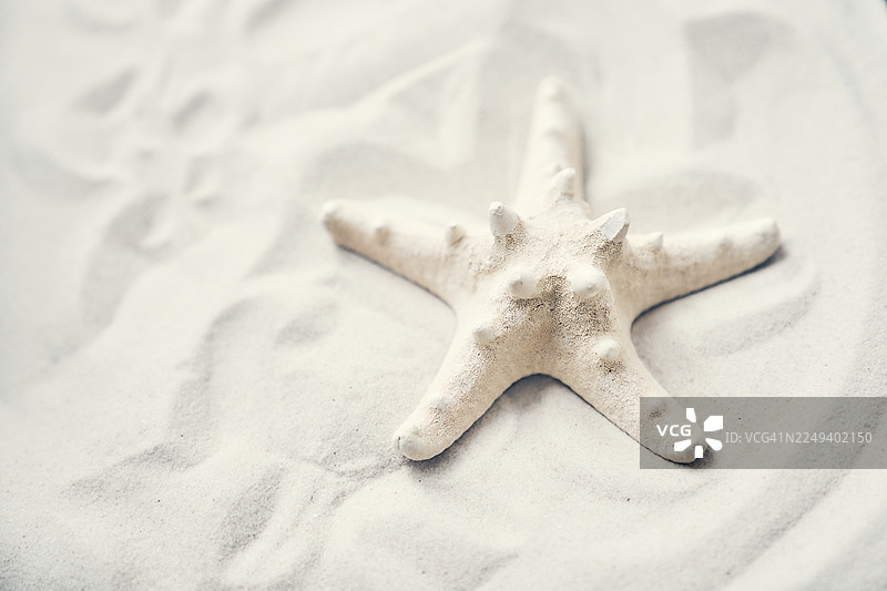 海星栖息在洁白的沙滩上，营造出阳光纹理下的宁静海岸景象图片素材