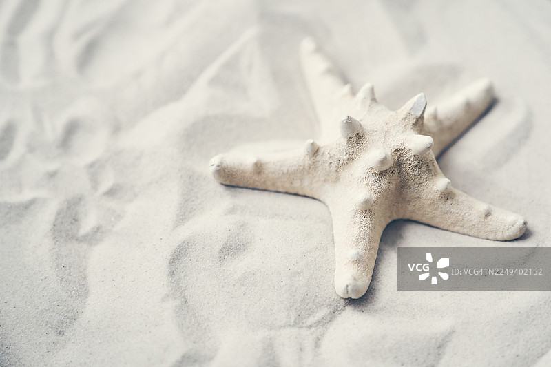 海星静卧在白色沙滩上，阳光照射出纹理，营造出宁静的海滨景象图片素材