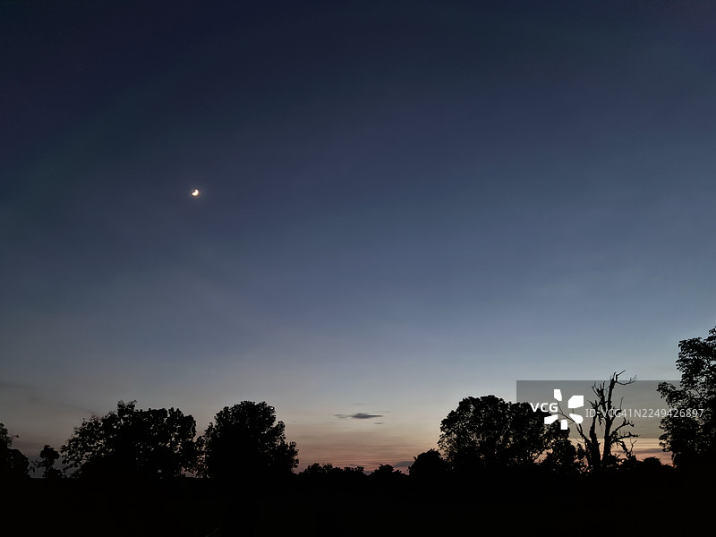 黄昏时分，新月映衬着剪影般的树木，构成一幅宁静而神秘的自然风景图片素材