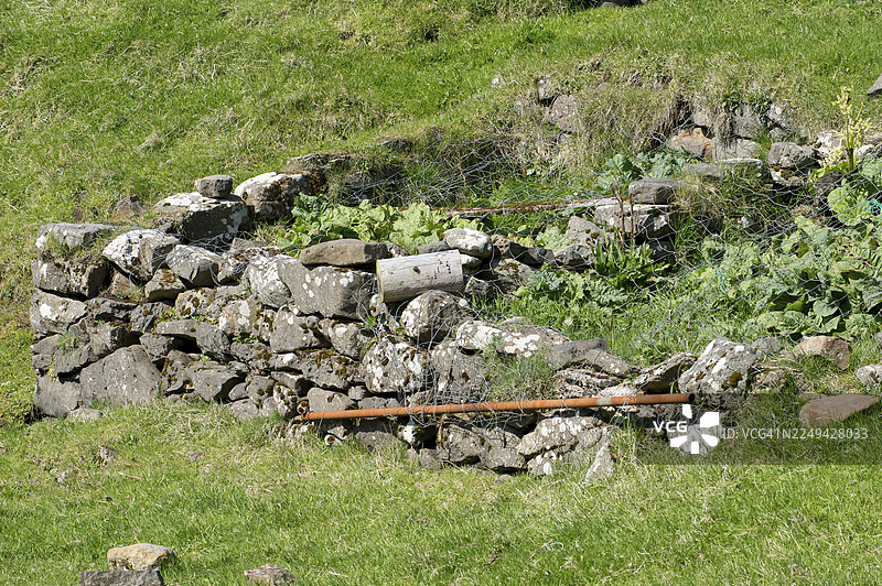法罗群岛米基内斯，老石墙环绕着种有大黄的蔬菜园图片素材